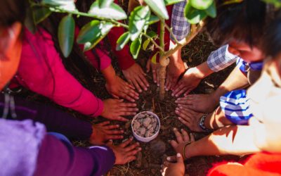 Tree planters are the roots of the world!