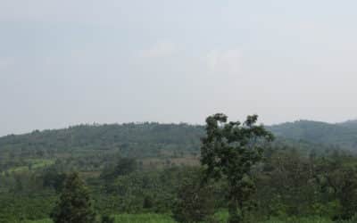 Nyagasenyi Remnant Forest Landscape Restoration for Improved Livelihoods and Resilience to climate change