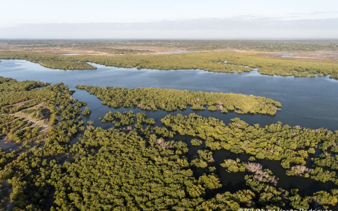Integrating Marine and Cultural Conservation for Ecosystem Connectivity in Gökova Bay and Datça/Bozburun Peninsulas