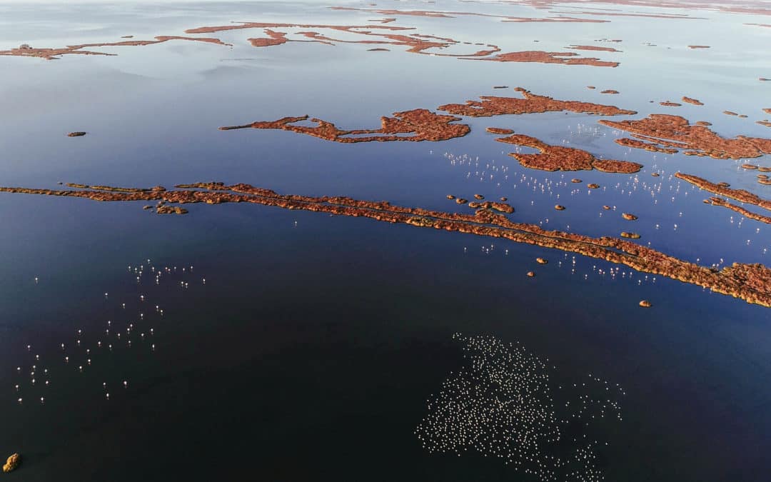 Long Live the Gediz Delta!