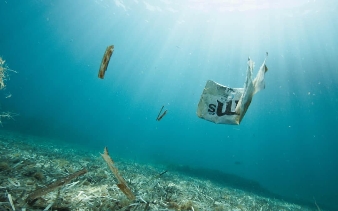 Beyond Plastic Med+ Reducing Plastic Pollution in the Mediterranean