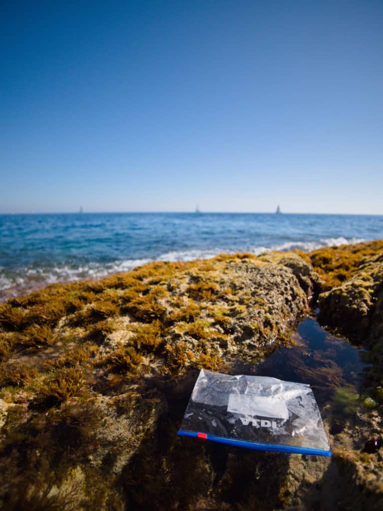 BeMed ©Fish eye production