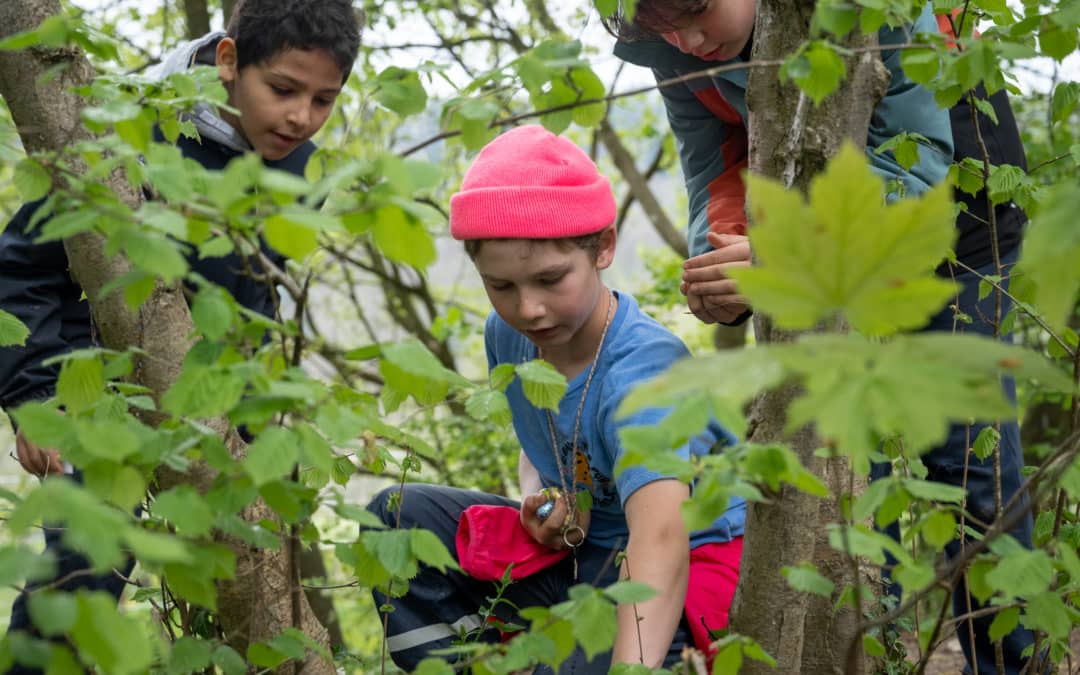 Achieving systemic change for high-quality learning in nature throughout Switzerland