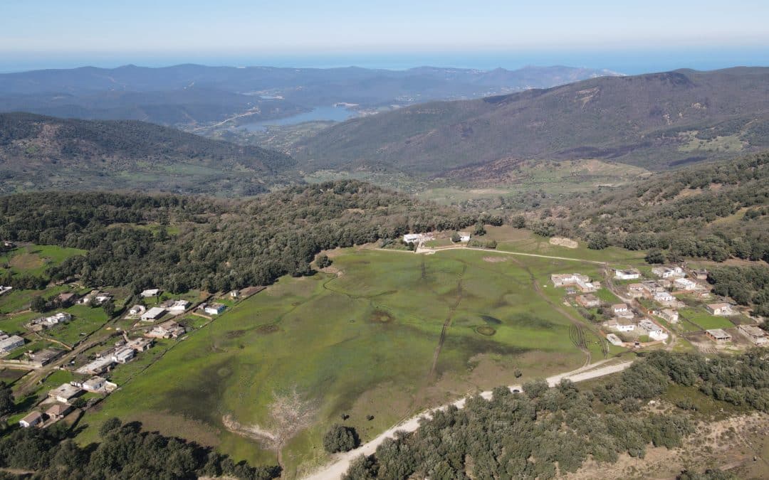 Restoration of the Dar Fatma Peatlands Nature Reserve and Ramsar Site