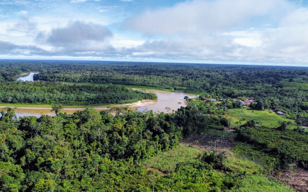 Forest Protection through Land Titling for 60 Indigenous Communities